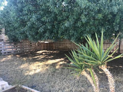 22 N Bellview --, Mesa, AZ 85203 photo 16