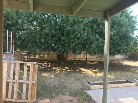 22 N Bellview --, Mesa, AZ 85203 photo 19