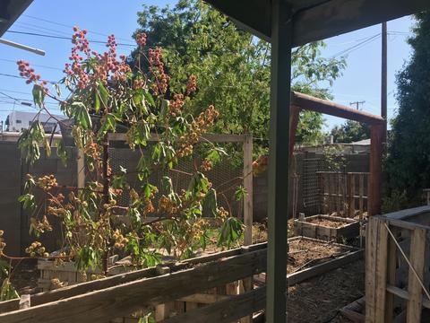 22 N Bellview --, Mesa, AZ 85203 photo 20