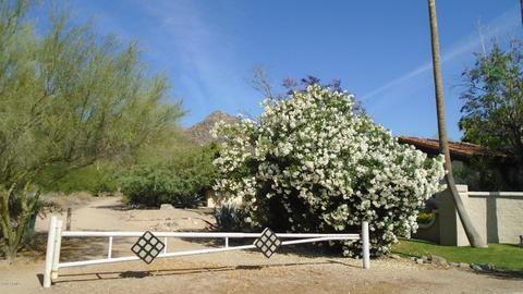 1822 E Desert Park Ln, Phoenix, AZ 85020 photo 76