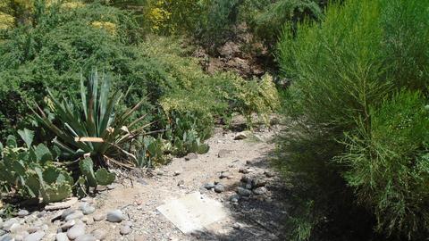 1822 E Desert Park Ln, Phoenix, AZ 85020 photo 38