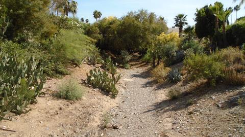 1822 E Desert Park Ln, Phoenix, AZ 85020 photo 39