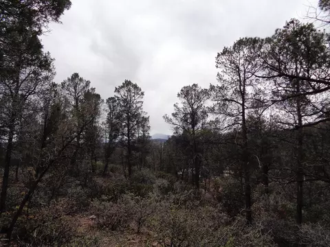 1400 E Tranquility Pt #-, Payson, AZ 85541 photo 6