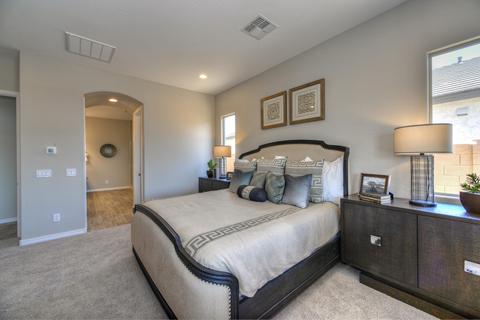 10049 E Seismic Ave, Mesa, AZ 85212 photo 9
