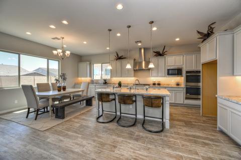 10049 E Seismic Ave, Mesa, AZ 85212 photo 3