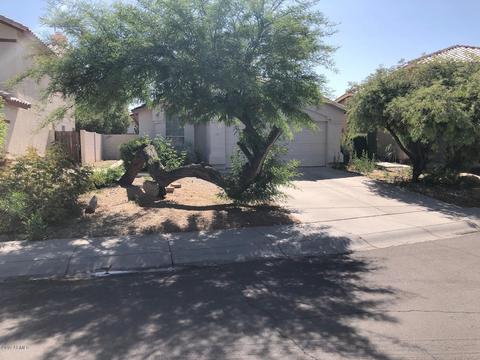 985 N Joshua Tree Ln, Gilbert, AZ 85234 photo 1