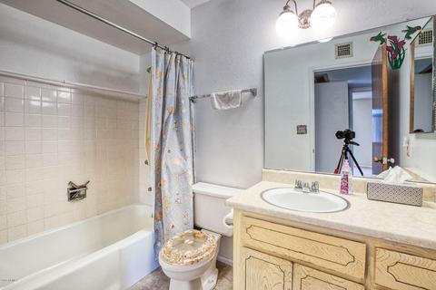 317 E Minton Dr, Tempe, AZ 85282 photo 19