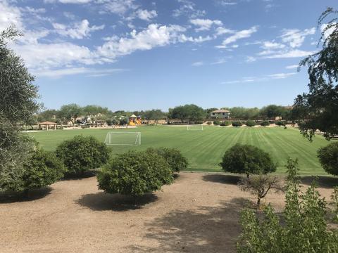 3495 E Flower St, Gilbert, AZ 85298 photo 57