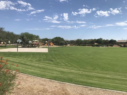 3495 E Flower St, Gilbert, AZ 85298 photo 56