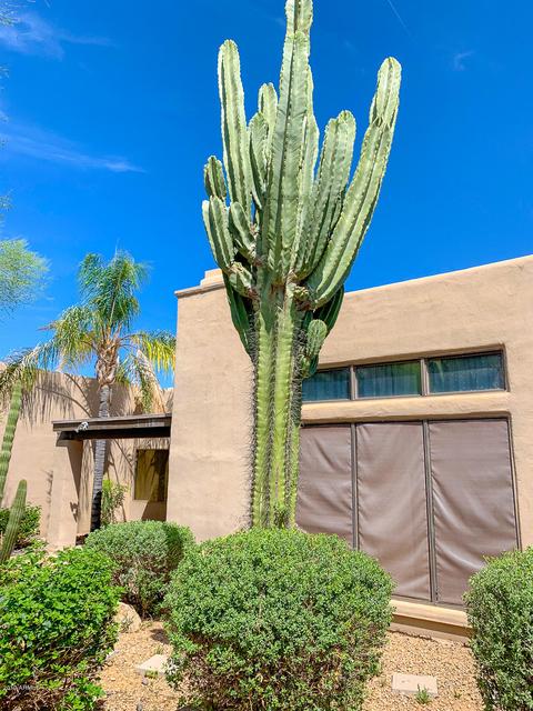 4205 E Altadena Ave, Phoenix, AZ 85028 photo 25