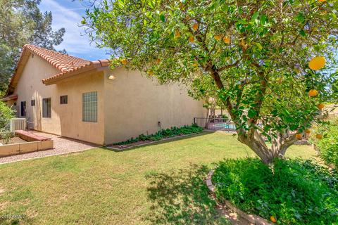 3504 E Fox St, Mesa, AZ 85213 photo 37