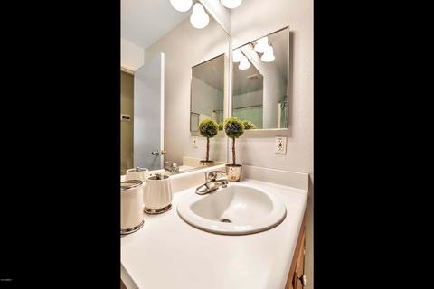 917 E Graham Ln, Apache Junction, AZ 85119 photo 18