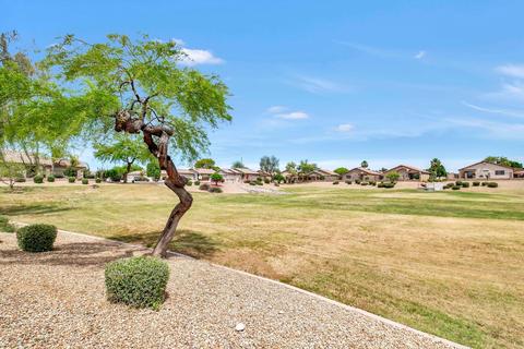 917 E Graham Ln, Apache Junction, AZ 85119 photo 25