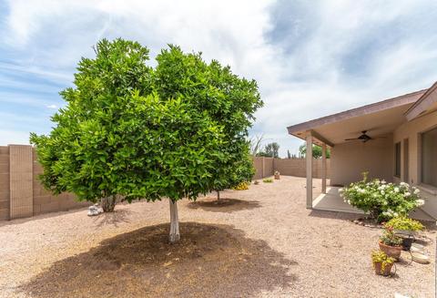 7917 E Naranja Ave, Mesa, AZ 85209 photo 24