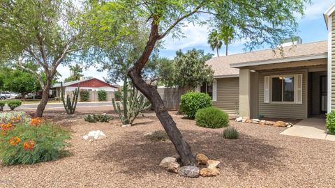 2610 E Corrine Dr, Phoenix, AZ 85032 photo 8