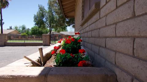 13902 E Morgan Dr, Gilbert, AZ 85295 photo 32
