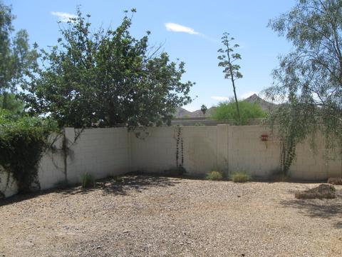 3363 Evans Dr, Phoenix, AZ 85032 photo 37