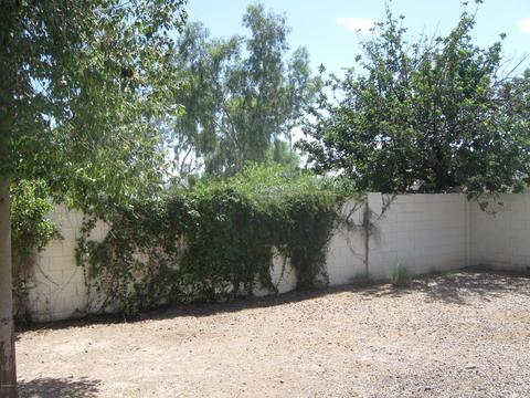 3363 Evans Dr, Phoenix, AZ 85032 photo 38