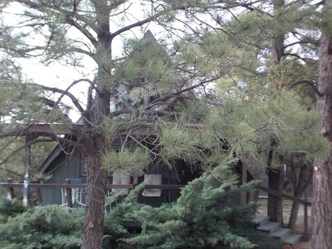 2058 Grey Squirrel Trl, Overgaard, AZ 85933 photo 16