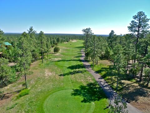 3971 Sugar Pine Loop, Show Low, AZ 85901 photo 29