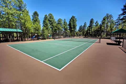 3971 Sugar Pine Loop, Show Low, AZ 85901 photo 35
