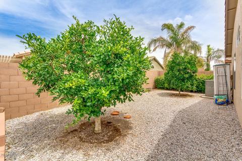 6624 E Boston St, Mesa, AZ 85205 photo 26