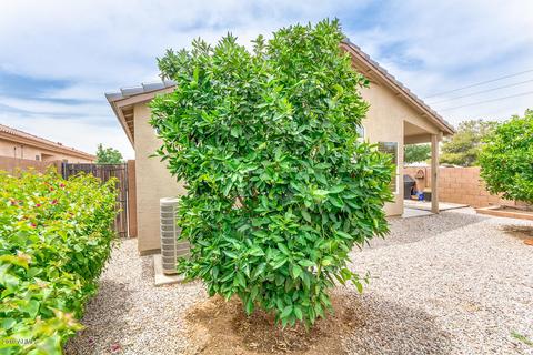 6624 E Boston St, Mesa, AZ 85205 photo 29