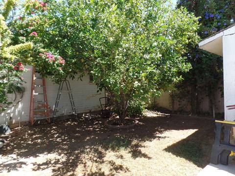 113 E Millett Ave, Mesa, AZ 85210 photo 17