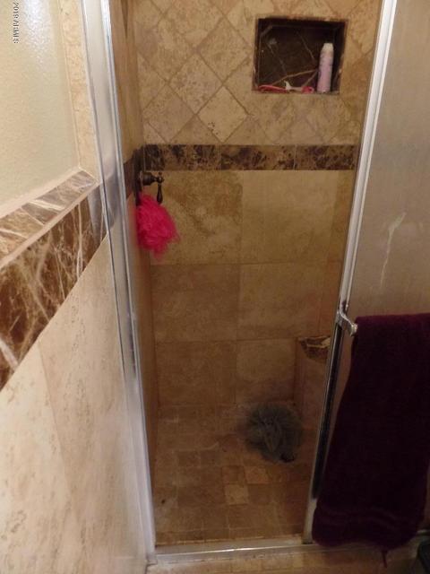 113 E Millett Ave, Mesa, AZ 85210 photo 23
