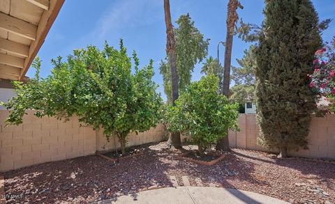 1401 E San Angelo Ave, Gilbert, AZ 85234 photo 26