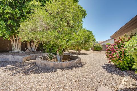 4010 Ellis St, Mesa, AZ 85205 photo 29