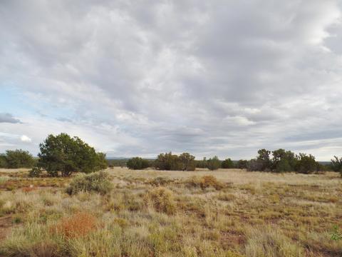 7695 Del Rio Dr #28, Show Low, AZ 85901