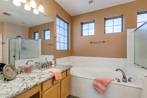 9656 E Lobo Ave, Mesa, AZ 85209 photo 46