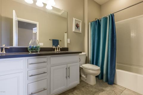 10132 E Tamery Ave, Mesa, AZ 85212 photo 19