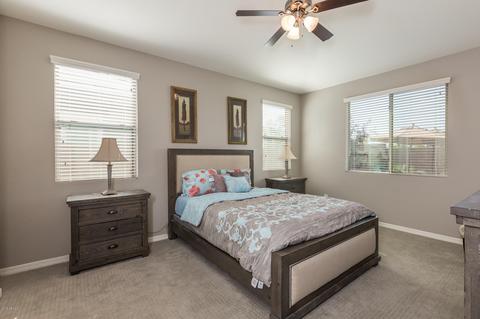 10132 E Tamery Ave, Mesa, AZ 85212 photo 14