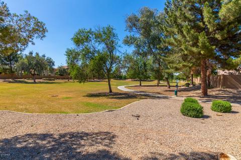695 E Orchid Ln, Gilbert, AZ 85296 photo 50