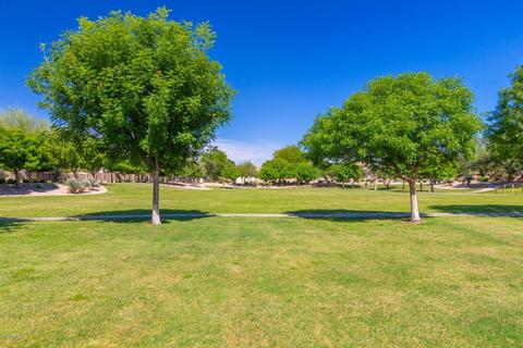 695 E Orchid Ln, Gilbert, AZ 85296 photo 54