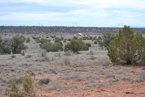 9612 E Juniper Berry Trl, Snowflake, AZ 85937 photo 2