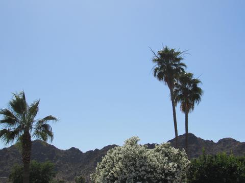 2602 E Mountain View Rd, Phoenix, AZ 85028 photo 25