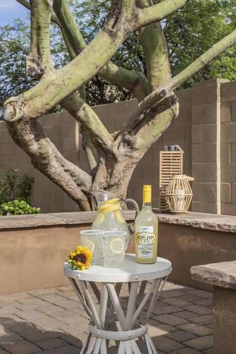 3517 Expedition Way, Phoenix, AZ 85050 photo 20