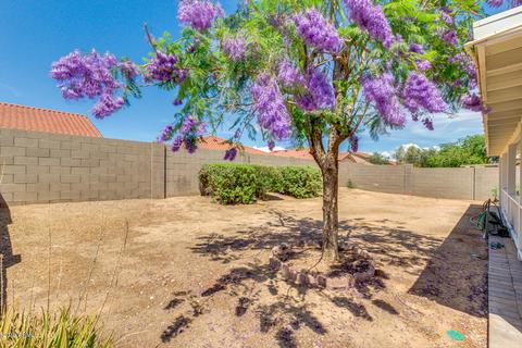 10610 E Balmoral Ave, Mesa, AZ 85208 photo 24