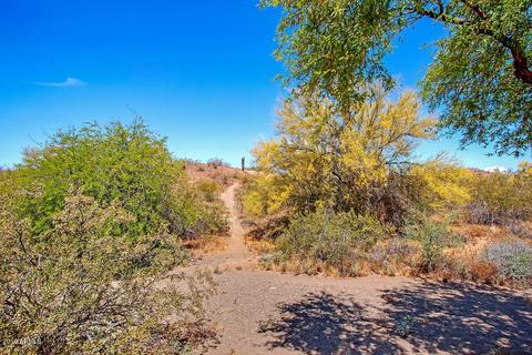 1127 E Ross Ave, Phoenix, AZ 85024 photo 31