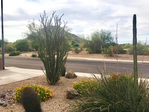 1825 E Winchcomb Dr, Phoenix, AZ 85022 photo 30