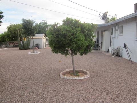 5317 E Baltimore St, Mesa, AZ 85205 photo 11