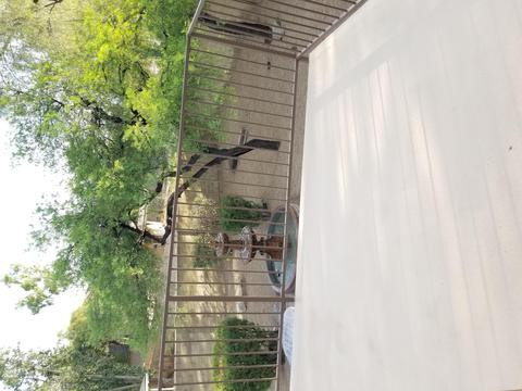3015 E Wagoner Rd, Phoenix, AZ 85032 photo 11