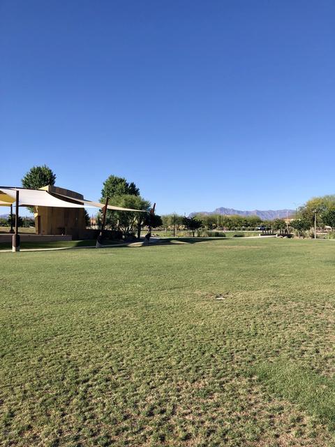 10307 E Sable Ave, Mesa, AZ 85212 photo 64