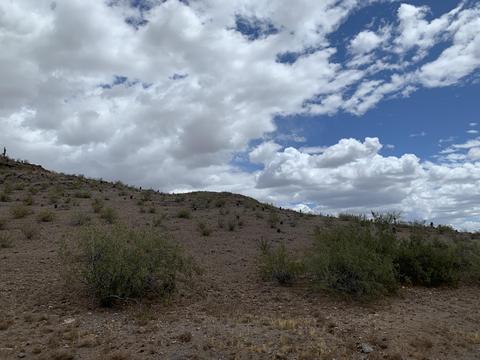 3236 E Chandler Blvd #1009, Phoenix, AZ 85048 photo 5