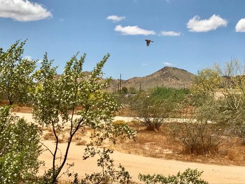 102 W Galvin St, Phoenix, AZ 85086 photo 24