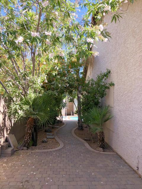 1142 E Stanford Ave, Gilbert, AZ 85234 photo 19