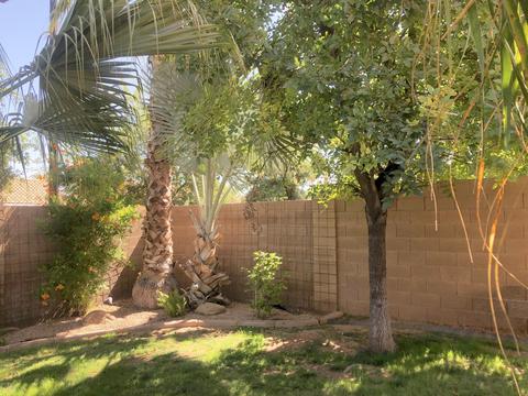 1142 E Stanford Ave, Gilbert, AZ 85234 photo 16